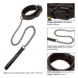 Calexotics - Collier Et Laisse Sans Limites